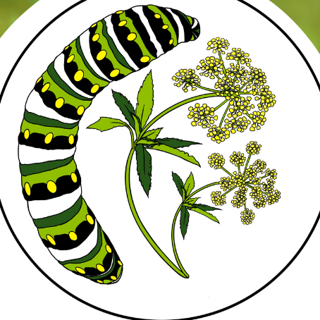 Skinny Trees Farm Garden Tour - logo